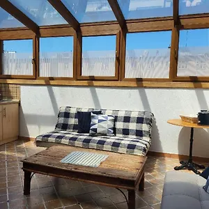  Appartement Sunflower And